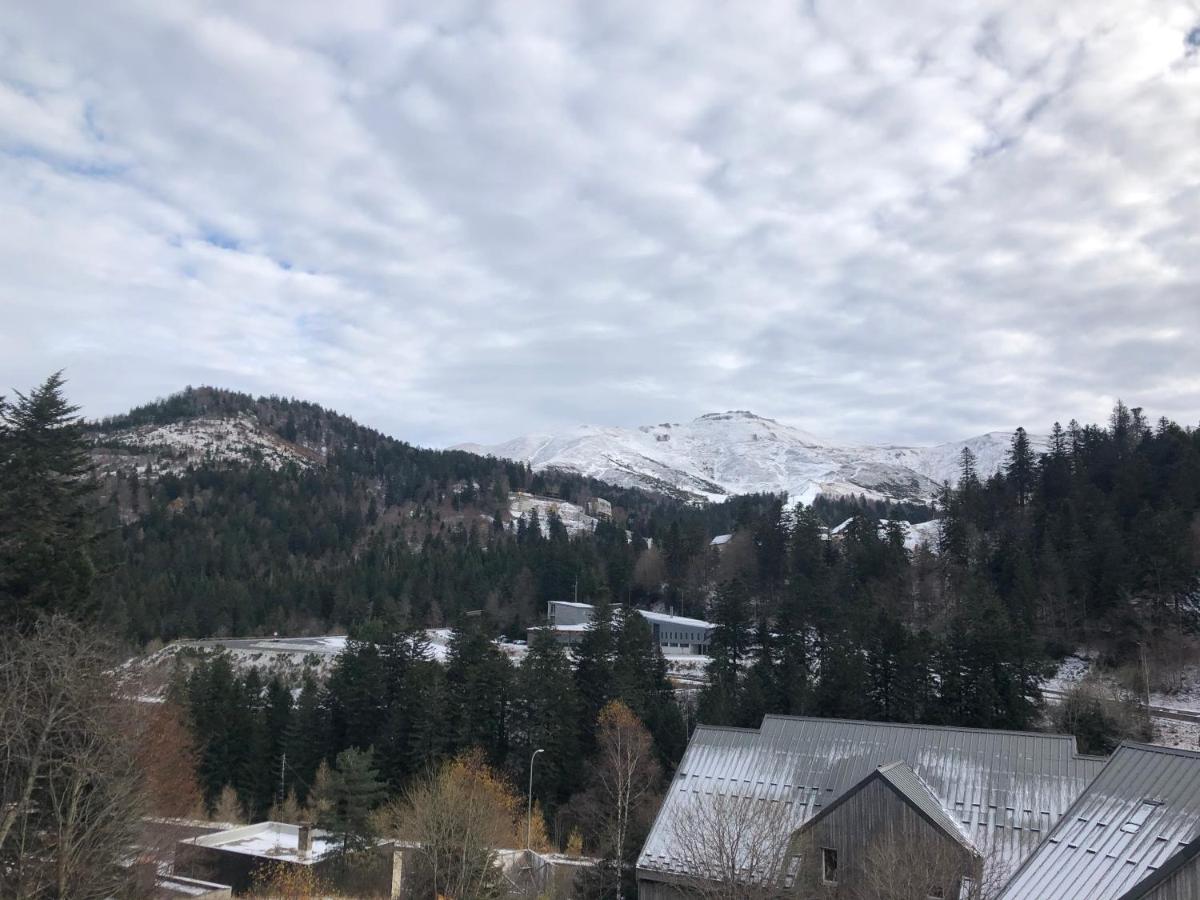 Appartement Aux Pieds Des Pistes De Ski Laveissière Kültér fotó