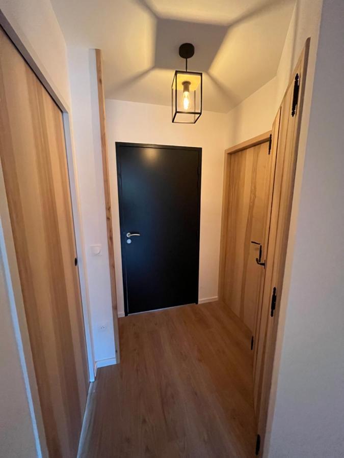 Appartement Aux Pieds Des Pistes De Ski Laveissière Kültér fotó