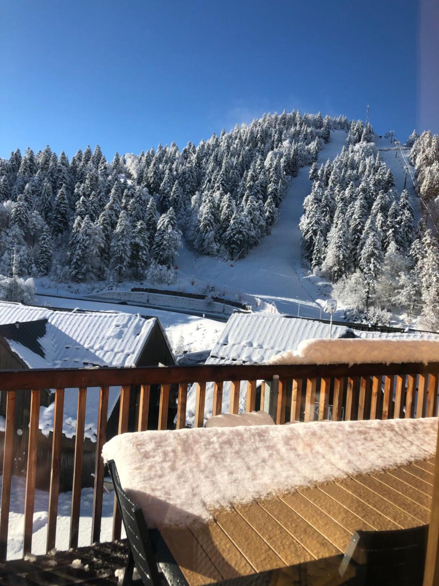 Appartement Aux Pieds Des Pistes De Ski Laveissière Kültér fotó